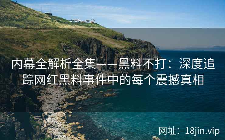 内幕全解析全集——黑料不打：深度追踪网红黑料事件中的每个震撼真相